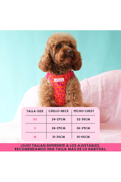 Agatha ruiz de la prada BODY AJUSTABLE CORAZONES Libre de impuestos