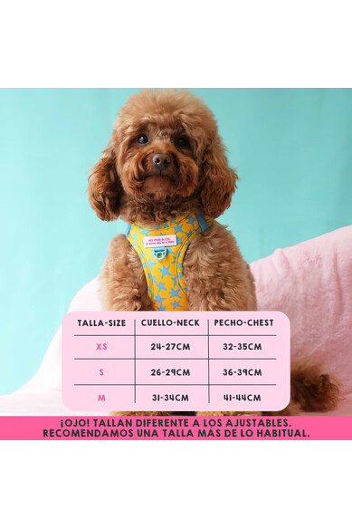 Agatha ruiz de la prada BODY AJUSTABLE ESTRELLAS Oferta exclusiva