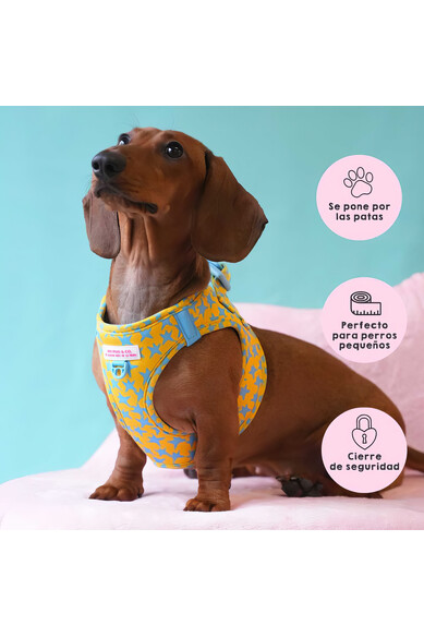 Agatha ruiz de la prada BODY AJUSTABLE ESTRELLAS Oferta exclusiva
