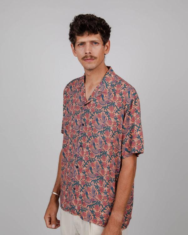 Brava fabrics Aloha Asis Percales Passerine Gran oferta