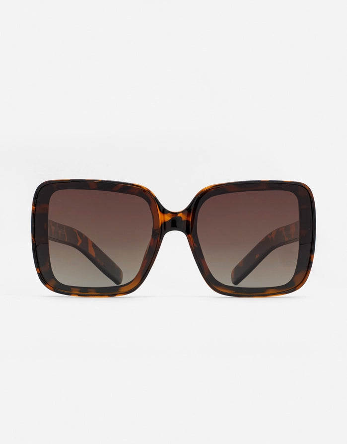 koala bay Gafas de Sol Casual Marrón Carey - Florence Ahorra y exporta