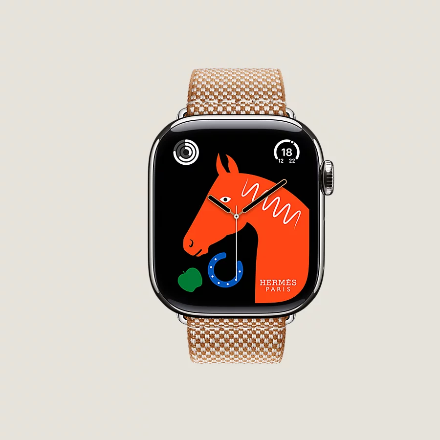 Hermès Caja Series 10 & Correa Apple Watch Hermès Single Tour 42 mm Toile H Liquidación