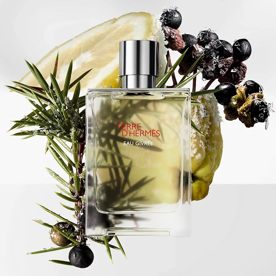 Hermès Terre d'Hermès Eau Givrée Recarga de Eau de parfum - 200 ml Grandes descuentos