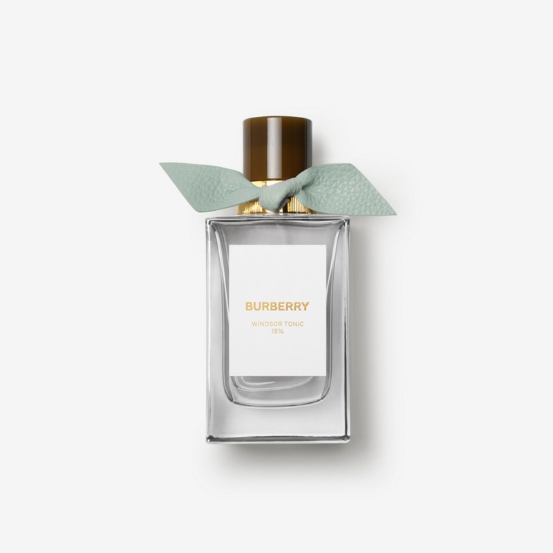 Burberry Burberry Signatures Eau de Parfum de 100 ml - Windsor TonicPrecio 276 00 € Última moda