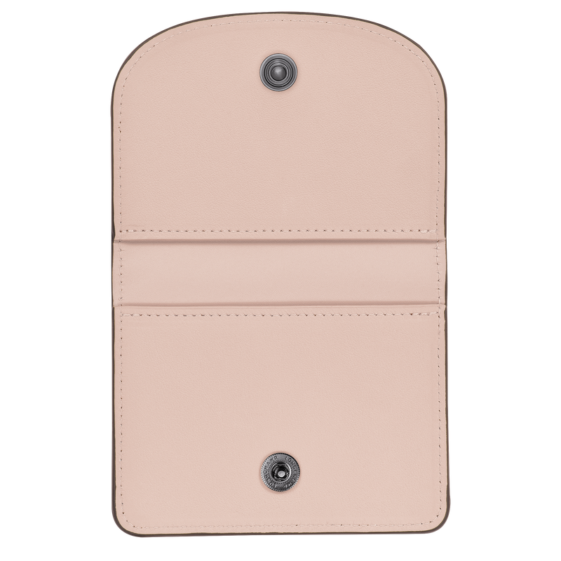 Longchamp Le Pliage Xtra Tarjetero Cuero - Carne Liquidación