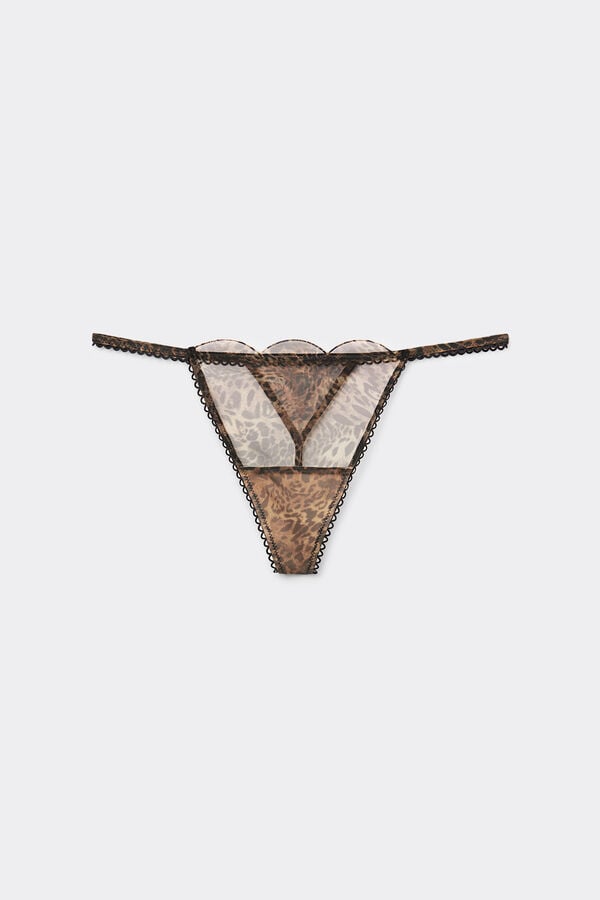Intimissimi Tanga Tira Lateral Estampado Animal Always Glamorous Envío internacional gratuito